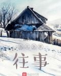 东北张家往事 小说