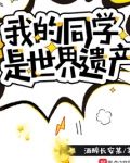 我的同学是世界遗产