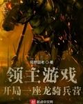 领主游戏,开局一座龙骑兵营