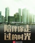 你陪我走过的时光作文