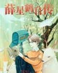 薛星小说