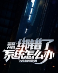 警察:开局绑错了系统怎么办