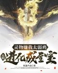 灵物嫌我太弱鸡,无限进化成至宝