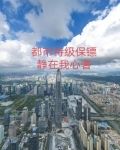 都市特级保镖