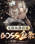 无敌从我看见BOSS血条开始