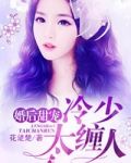 苏小菲是哪部小说