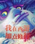 我在西游加点修行小说免费阅读