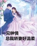 一见钟情,总裁娇宠妻无弹窗免费阅读