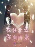 我往北去,你向南来英语