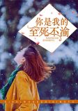 你是我的至死不渝广东话