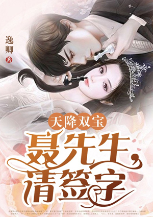 天降双宝:聂先生,请签字