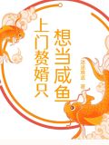 上门赘婿的小说