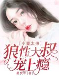 小妻太撩:狼性大叔宠上瘾