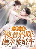 一胎俩宝:我带妈咪劫个婚 喃喃抹茶