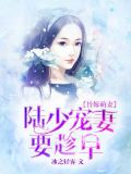陆少的替嫁萌妻