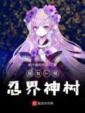 拥有火影系统的我才不是男孩子免费