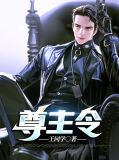 尊主无敌讲的什么