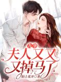 九爷,夫人又又又掉马了苏冉