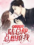 携宝归来后,陆总他总想撩我陆晨旭