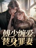 傅少缠爱替身罪妻顾清雨傅廷也