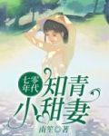 七零年代知青小甜妻txt