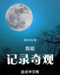 我能记录奇观小说