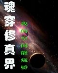 魂穿修真界:我的空间能藏娇