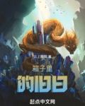 箱子里的旧日投资团小说