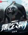 海贼之黑公爵百科