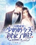 闪婚成宠:少奶奶今天回家了吗?
