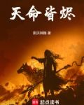 天命皆烬TXT下载