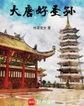 大唐好圣孙无防盗