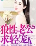 狼性老公,求轻宠!