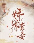 娇宠贵妾