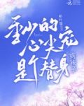 季总请注意,替身夫人她有白月光