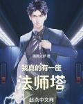 我真的有一座法师塔TXT免费下载