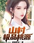 桃源山村类型的小说