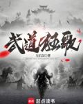 武道狂歌TXT下载精校版