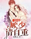 一婚成瘾:顾少请自重