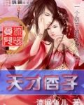 天才痞子 小说