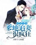 天才宝宝:爹地追妻很疯狂