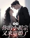 司爷,你的小祖宗又来退婚了