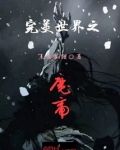 完美世界之魔帝全文免费阅读