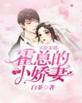 天价宠婚:霍总的小娇妻