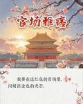官场雅痞小说叫什么名字
