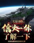 幻影舰队:信火一体了解一下