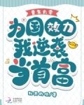 重生九零为国效力我逆袭当首富