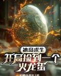 冰岛求生游戏规则