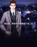 重生后,我继承了世界五百强