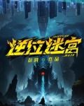 逆位迷宫灰凤凰